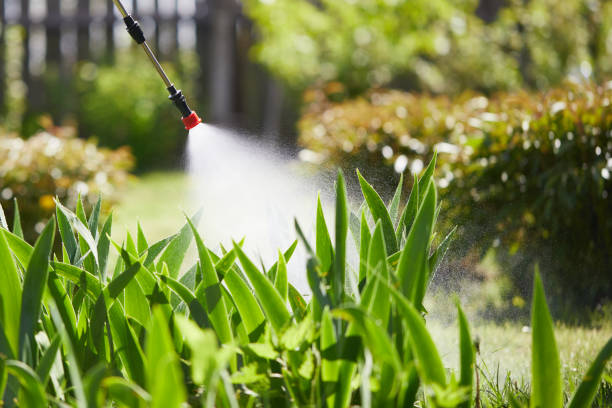 24/7 Emergency Cockroach Control experts in Thornville, OH