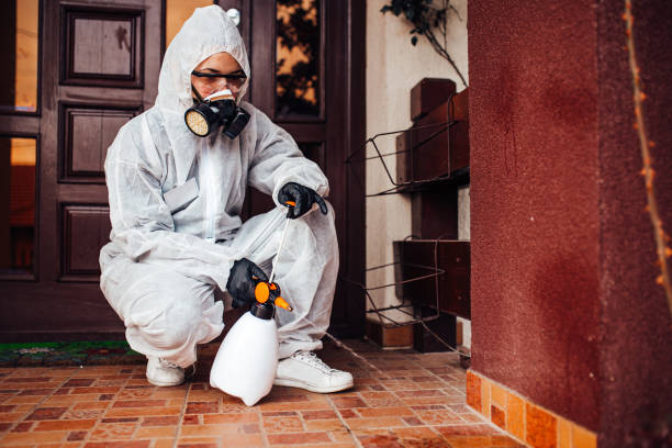 Reliable Cockroach Control contractor in Thornville, OH by Nex Pest Control