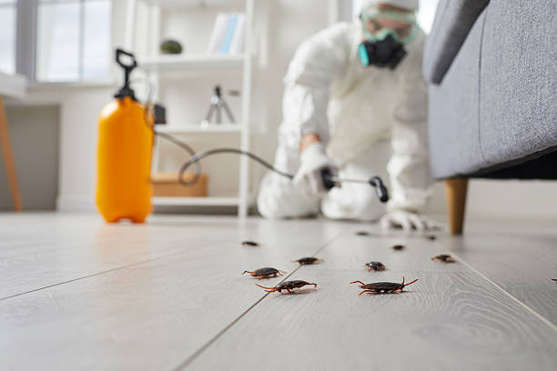 Trusted Termite Control service in Thornville, OH - Nex Pest Control